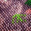 1000029203-01.thumb.jpeg.85821f97416f20da5130ac3a25314a37.jpeg