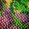 1000029204-01.thumb.jpeg.3756d6e2a62f9fe172b1fc7500a02751.jpeg
