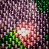 1000029205-01.thumb.jpeg.72e618027b1541023f1282c4c29b4a24.jpeg