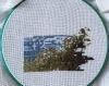 1343219966_.thumb.jpeg.4c7dc2680d511dbee92b5fc1aea5f292.jpeg
