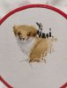 1368049094_.thumb.jpg.6cfafd69cfb866df24fec9a364049d2c.jpg