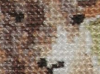 2017302232_2024-02-0212_06_21.thumb.png.06785ef5fcba255b1305ac074138ea8f.png