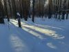 20240204_113352.thumb.jpg.2b594307f03352cfab7cccf6895982f5.jpg