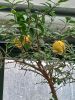 3Eb_MGj2Hh8.thumb.jpg.cbb0ee9c4f6f6ab2ddd6181c3e631c8c.jpg
