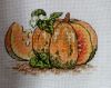 6.thumb.jpg.65353de928a075ebc76b9922d029bbb8.jpg