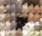 8074682_2024-02-0212_03_03.png.3c07d80b06788f9d67b43a9e81608ce7.png