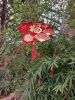 C5Nq2-9Z3Pw.thumb.jpg.fcabfe45657f8ed3c2e92099286e9d26.jpg