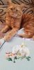 IMG-20231218-WA0010.thumb.jpg.8ceec37b5c080b8bf3056759732602ee.jpg