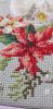 IMG-20240103-WA0009.thumb.jpg.c6043bc136e900a51c1d2aa256fd892a.jpg