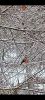IMG-20240214-WA0002.thumb.jpg.fb38305644cc358861a5608da73010c2.jpg