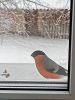 IMG-20240214-WA0007.thumb.jpg.55c143805e36dc04ca50e600adf4a3b1.jpg