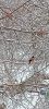 IMG-20240214-WA0009.thumb.jpg.32d8f75ef0e902bd3a9163587957ebd2.jpg