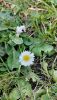 IMG-20240216-WA0001.thumb.jpeg.bec6622c319fd4f8293b3420838df6fa.jpeg