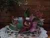 IMG20240203154800.thumb.jpg.de0928f7d61bbdd6da5ee2799a3aac26.jpg