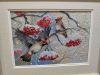 IMG20240229121435.thumb.jpg.7bf1d58069d7d5d54f54250015b0e450.jpg