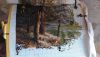 IMG_20230408_105355.thumb.jpg.e026f60a2e0c2b8f45a0b5378c217e2e.jpg