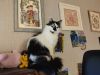 IMG_20240122_173513.thumb.jpg.272510e26d2ea583338498c578849955.jpg