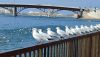 IMG_20240128_123209.jpg