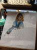 IMG_20240128_224402.jpg.8827cc979379919a8e75762c342deac1.jpg