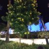 IMG_20240206_202518.thumb.jpg.556c506cf918bb37e3a7da23cd686215.jpg