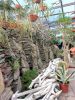 IMG_20240207_104911.thumb.jpg.b2761861cdaf7117d6562df0a2c8ee3f.jpg