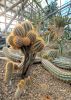 IMG_20240207_105033.thumb.jpg.a032da761c1b9c06b9ccffaceb151cbe.jpg