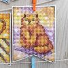 IMG_20240208_130712.thumb.jpg.4c1f1b1f14bbb588eda7c0fbe8a7f841.jpg