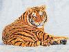 IMG_20240210_112339.thumb.jpg.be4680075f8184bc8696b1d45547eb76.jpg