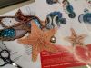 IMG_20240212_190026.thumb.jpg.229b90782cd49c0c3395b6330c638c9d.jpg