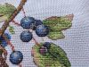 IMG_20240214_102513.thumb.jpg.0cb6adbc33b63e648fc0004d4bb328c8.jpg