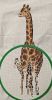 IMG_20240224_190405.thumb.jpg.7658f3e0ab1b3abd41cea9b30a5ee300.jpg