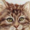 IMG_20240229_111124.thumb.jpg.a7da96ced89f9e0f763c0ca35ff9eff6.jpg