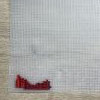 IMG_3369.jpeg