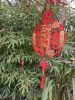 aMu0swynu1U.thumb.jpg.5c80b59855bf2f15050517f2d143354a.jpg