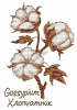 1158466135_.thumb.png.b2d2bf413db980b9f49da989b8aef3d0.png
