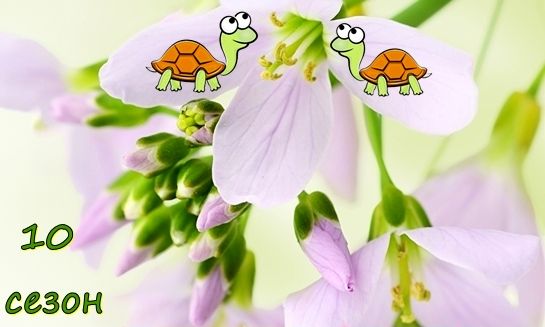 144186937_10.jpg.df8aa8bf5b95b91cde85ee524853baef.jpg