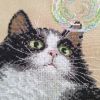 20240317_180002.thumb.jpg.79eb7c5d5c80d5acba6649efd0a63f2c.jpg