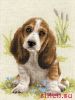 34942.thumb.jpg.c48dc9daa2d1a7cae516ca39b3c0961f.jpg