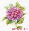 Алиса 0-137, Гортензия