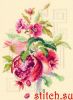 47537.thumb.jpg.dcc3a7fa9ad6fec482af5265ad3ff5d7.jpg