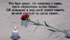 560101447_maxresdefault(1).thumb.jpg.c27ae83cb96957950da040f5b9b6b4b7.jpg