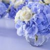 672071600_.jpg.35d84f6820f1dc62d3fb7b920e4664d3.thumb.jpg.a6af2c72e077fb3299a55e9271712151.jpg