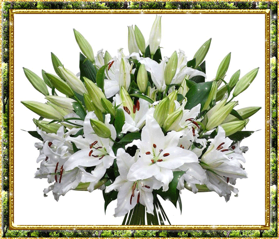 Открытки-с-букетом-лилий-скачать-бесплатно-Красивые-открытки-с-букетом-лилий-15159.gif