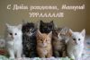 Безымянный.JPG