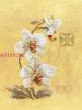 Lanarte 34746 (PN-0008008), Три орхидеи (Three orchids)
