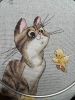 9.thumb.jpg.67cbf948ce3c7af5ed827b0d5d32fd35.jpg