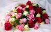959cd6b5a23f291c0fc2b99a6f5af151.thumb.jpg.6a8d93eaf26f9d74e1299a23b56aef41.jpg