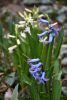 DSC_9728.thumb.JPG.446d8093a29436225e42ada18351bd7d.JPG