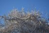 DSC_9859.thumb.JPG.f33f6f502180a195da9e55f321c2d31e.JPG