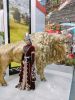 IMG-20240302-WA0028.thumb.jpg.de72eedc0d3b4ce49794be0f603c88df.jpg
